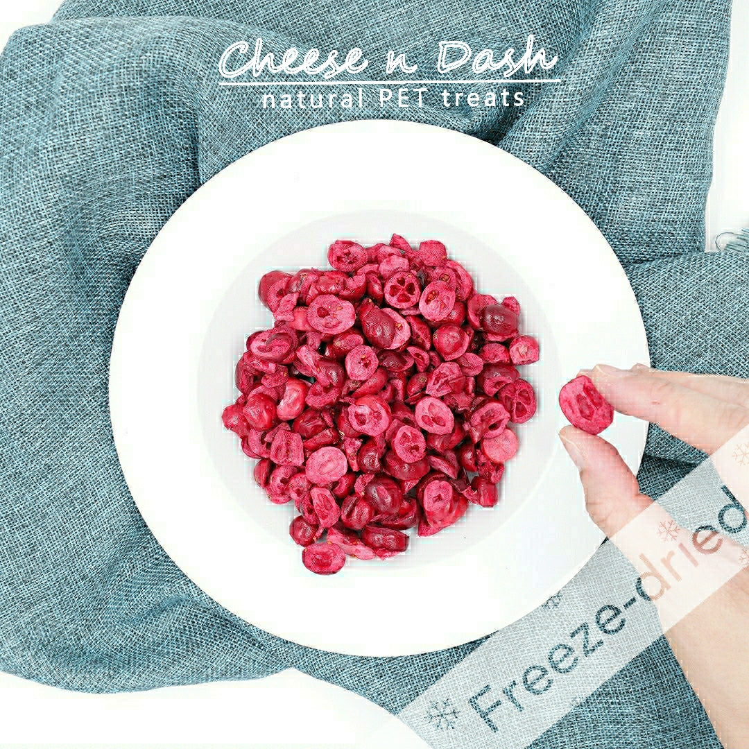 凍乾小紅莓 | Freeze Dried Cranberry